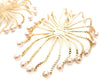 Reversible chain earrings with pearls at end