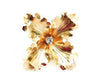 large gold metal flower ring with Swarovski stone